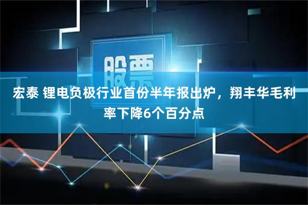 宏泰 锂电负极行业首份半年报出炉，翔丰华毛利率下降6个百分点