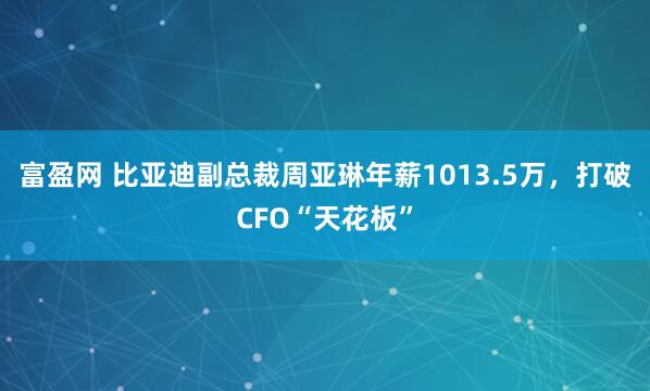 富盈网 比亚迪副总裁周亚琳年薪1013.5万，打破CFO“天花板”
