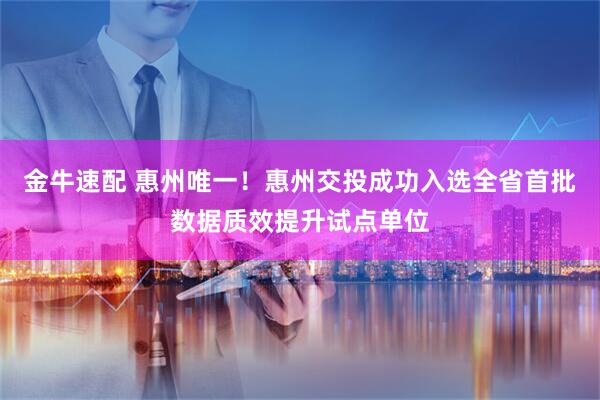 金牛速配 惠州唯一！惠州交投成功入选全省首批数据质效提升试点单位