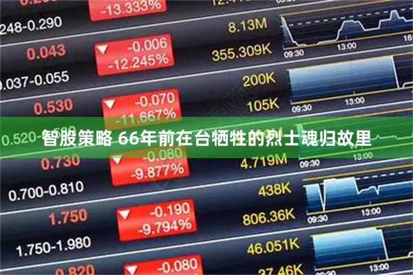 智股策略 66年前在台牺牲的烈士魂归故里