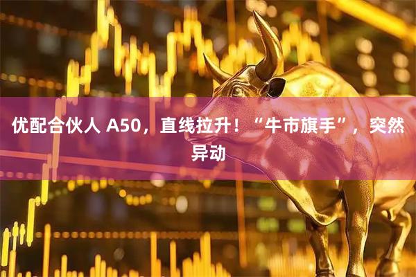 优配合伙人 A50，直线拉升！“牛市旗手”，突然异动